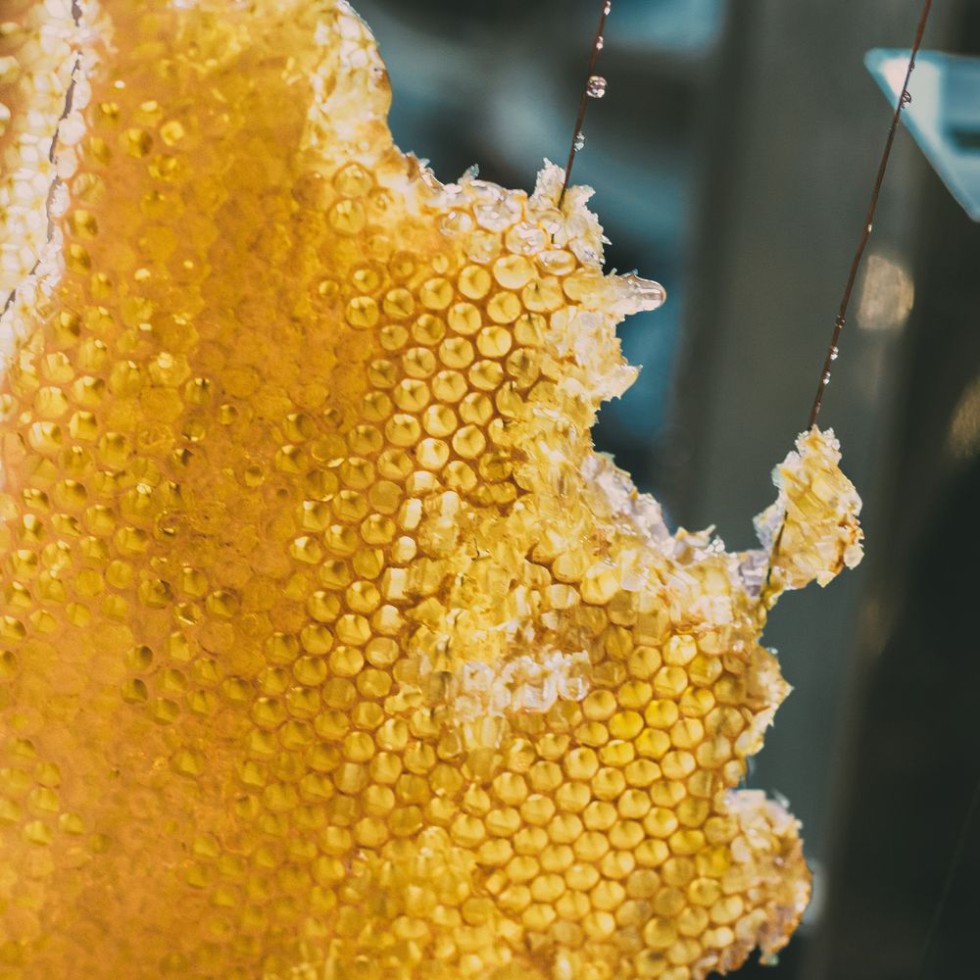 Sundarbans Raw Honey